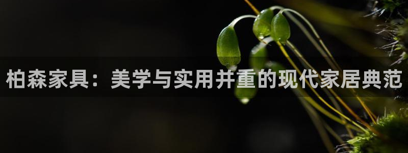 先锋娱乐提现多久到账
