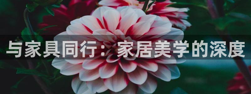先锋娱乐传媒