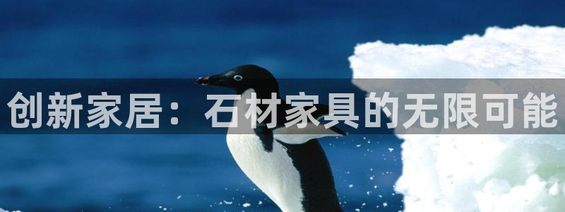 先锋娱乐大厅透视