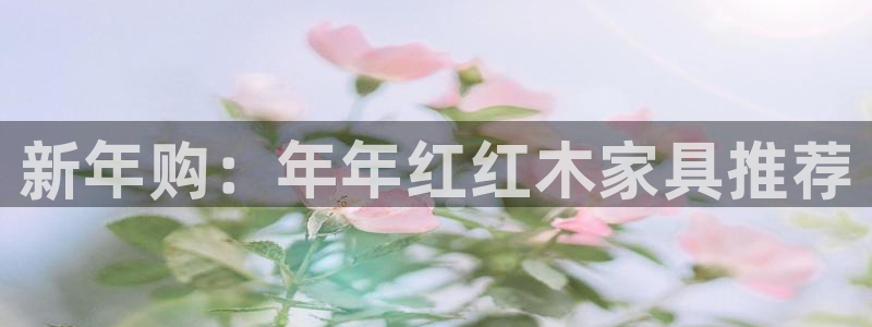 娱乐急先锋李诞甄子丹