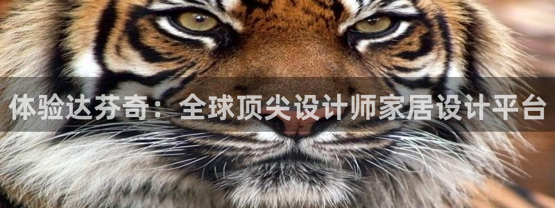 先锋娱乐网67xf