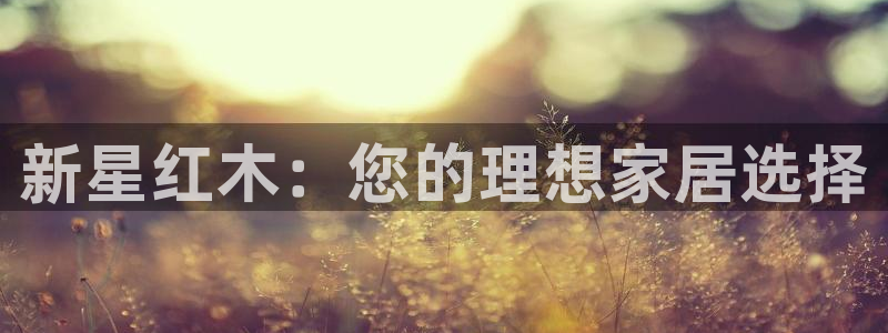 先锋娱乐播报