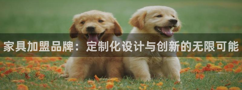 先锋娱乐手机：家具加盟品牌：定制化设计与创新的无限可能