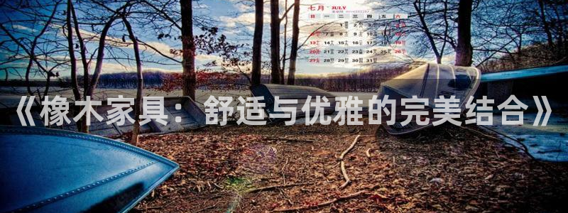 先锋娱乐炸金花：《橡木家具：舒适与优雅的完美结合》