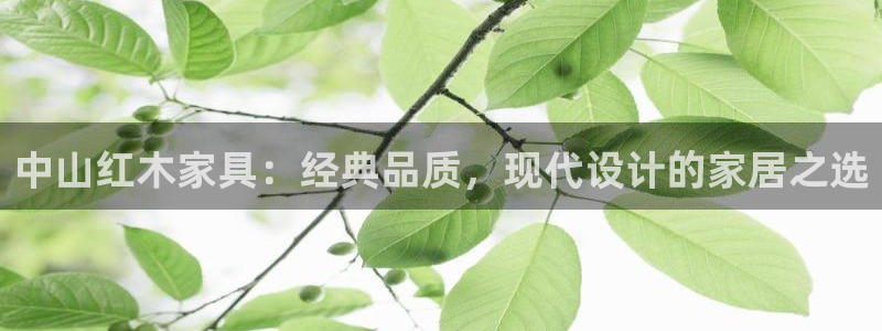 先锋娱乐管理集团招聘：中山红木家具：经典品质，现代设计的家居