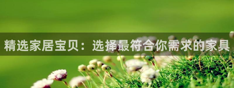 先锋娱乐会所地址：精选家居宝贝：选择最符合你需求的家具
