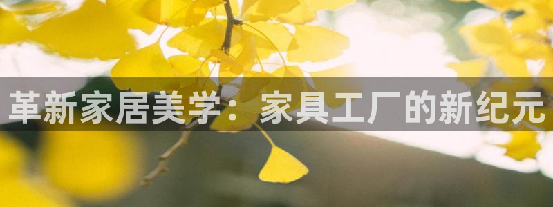 先锋娱乐客服：革新家居美学：家具工厂的新纪元