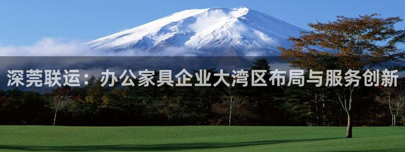先锋电子车载娱乐系统：深莞联运：办公家具企业大湾区布局与服务