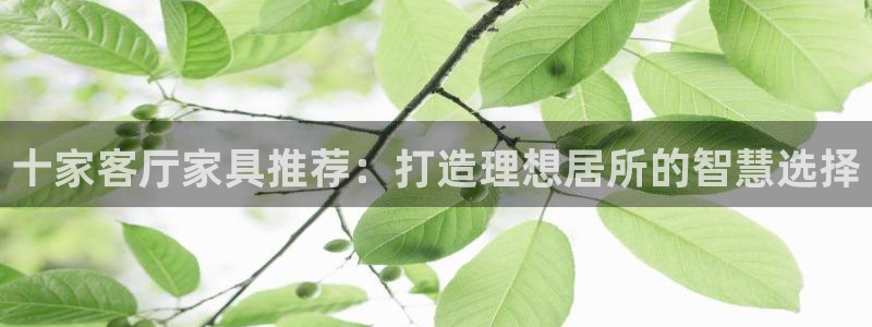 先锋电子旗下先锋娱乐