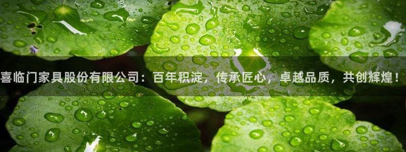 先锋娱乐集团公司