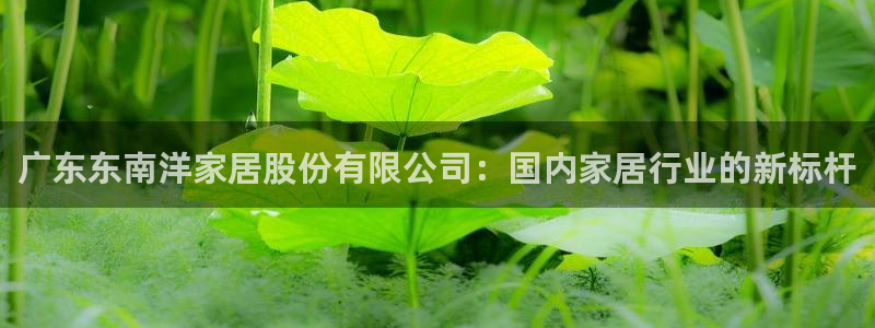 亚洲先锋娱乐跌