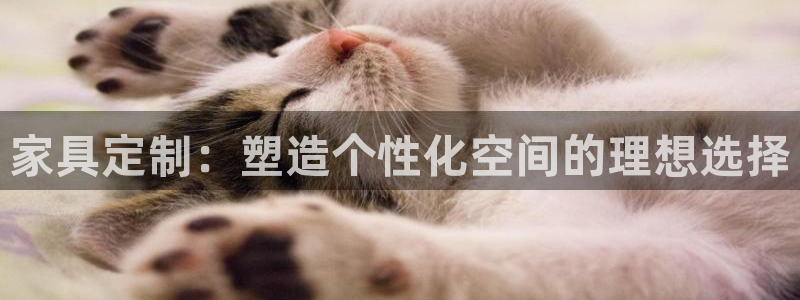 贵州先锋娱乐
