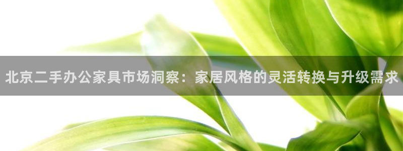 先锋娱乐游戏软件