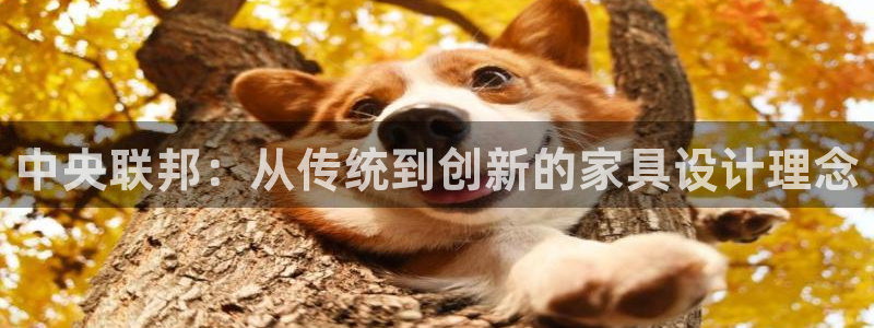 先锋娱乐邀请码多少位啊