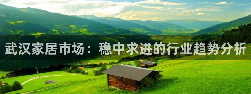 先锋岛娱乐：武汉家居市场：稳中求进的行业趋势分析