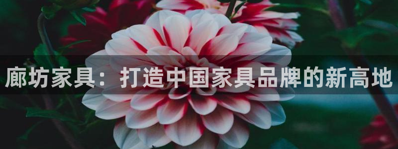 贵州先锋娱乐