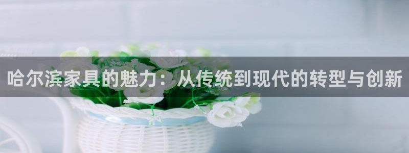 先锋娱乐挂：哈尔滨家具的魅力：从传统到现代的转型与创新