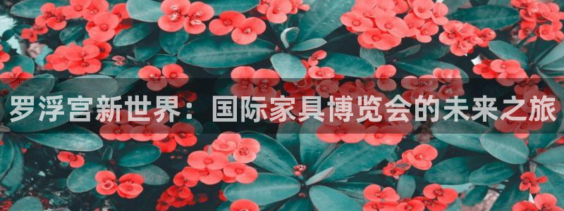 先锋综合娱乐