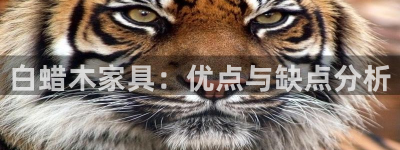 先锋娱乐客服中心