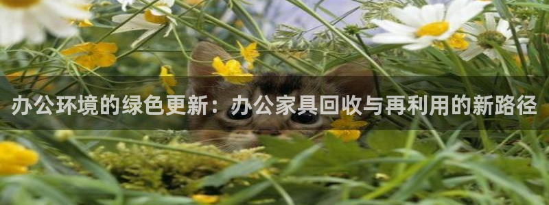 先锋娱乐会所地址