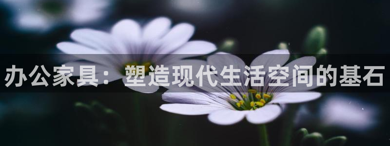 先锋娱乐游戏软件
