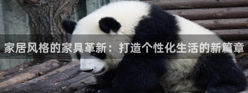 先锋娱乐传媒
