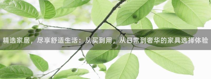 先锋国际娱乐：精选家居，尽享舒适生活：从买到用，从日常到奢华