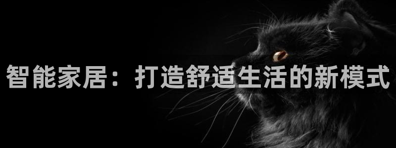 先锋娱乐邀请码多少位啊