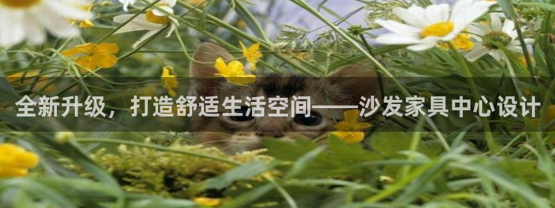 亚洲先锋娱乐跌