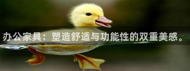 先锋娱乐理财logo：办公家具：塑造舒适与功能性的双重美感。